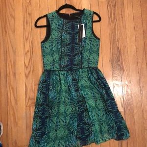 NWT Cynthia Steffe Dress